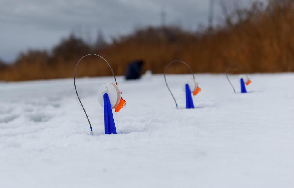 Os melhores locais para pesca no inverno: compartilhando experiências e capturas.